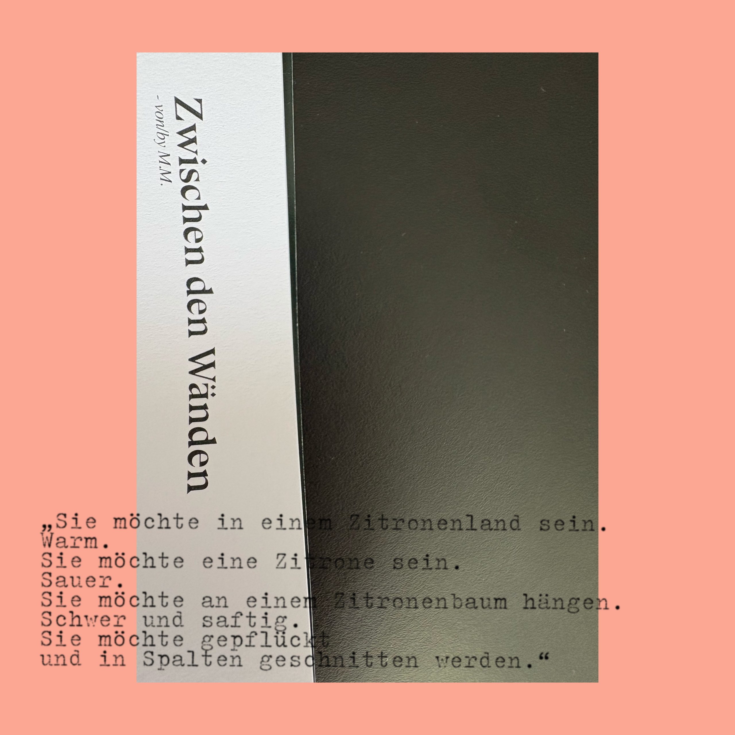 Zwischentext #8